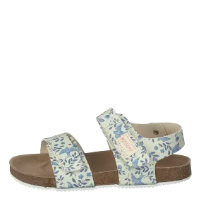 Bomhus Xc Blue Flower